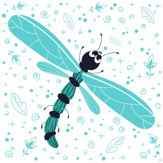 626x626 Libelula Fotos Y Vectores Gratis