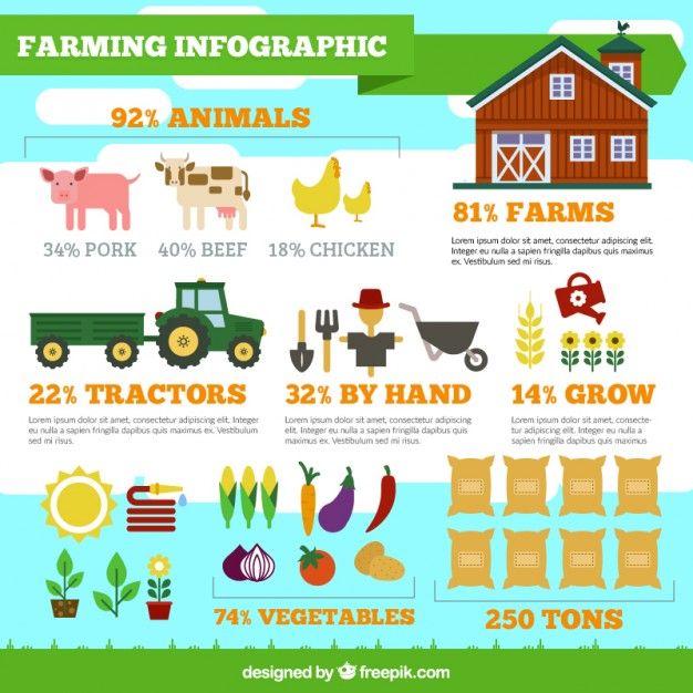 626x626 Farming Infographic Free Vector Vetor Vector Free, Infographic