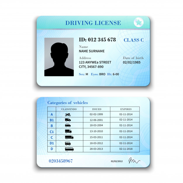Driver License Illustration Vector Free Download 626x626 Driver License Illustration Vector Free Download