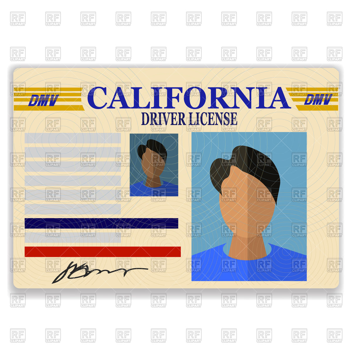 Driver License Plastic Card Vector Image Of Objects 1200x1200 Driver License Plastic Card Vector Image Of Objects