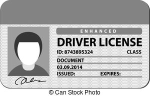 Driver License Vector Clipart 300x192 Driver License Vector Clipart