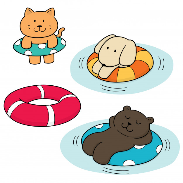 626x626 Set Of Animal And Life Ring Vector Premium Download