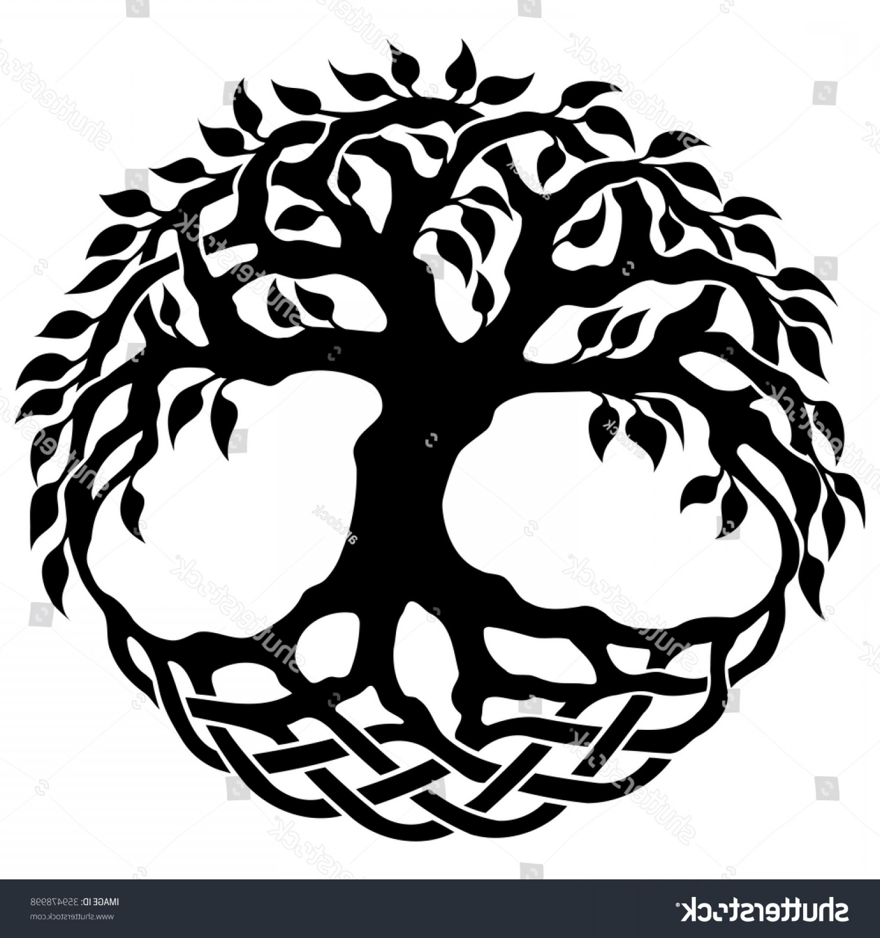 1800x1920 Silhouette Vector Tree Of Life Boozeworthy