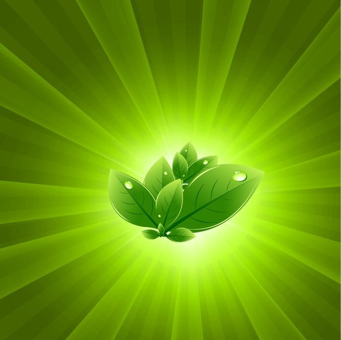 676x673 Free Leaves With Green Light Burst Vector Abstract Background