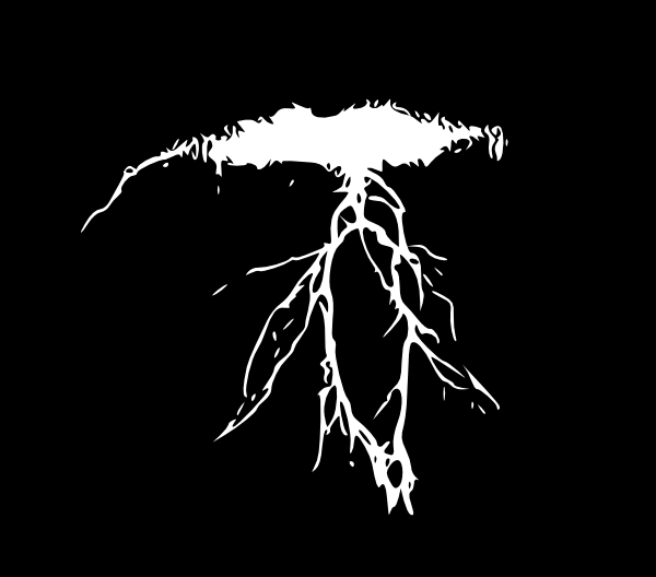 600x528 Lightning Clip Art