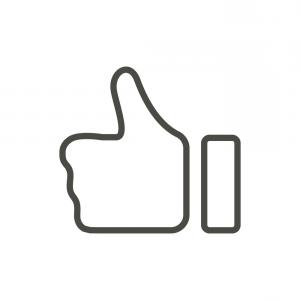 300x300 Like Icon In Trendy Flat Style Isolated On Vector Studiogrfx