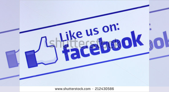 Like Us On Facebook Icon Vector