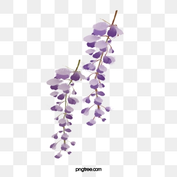 360x360 Watercolor Flowers Png, Vector, And Clipart With Transparent