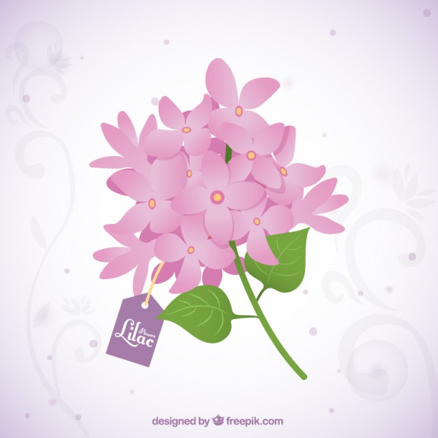 626x626 Bouquet Of Flowers Vectors Free Vector Graphics Everypixel