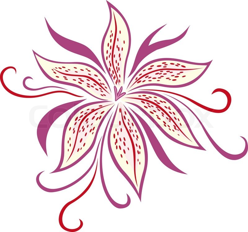 Lily Flower Isolated On White Stock Vector Colourbox 800x748 Lily Flower Isolated On White Stock Vector Colourbox