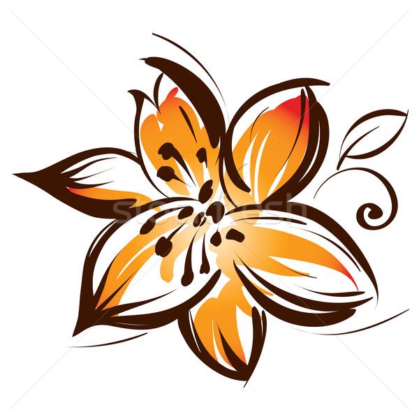 Lily Flower Vector Illustration Misha 600x600 Lily Flower Vector Illustration Misha