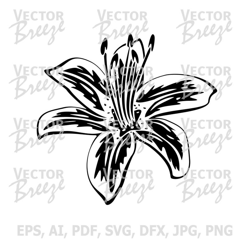 Beautiful Lily Flower Vector Original Illustration Graphic Etsy 794x794 Beautiful Lily Flower Vector Original Illustration Graphic Etsy