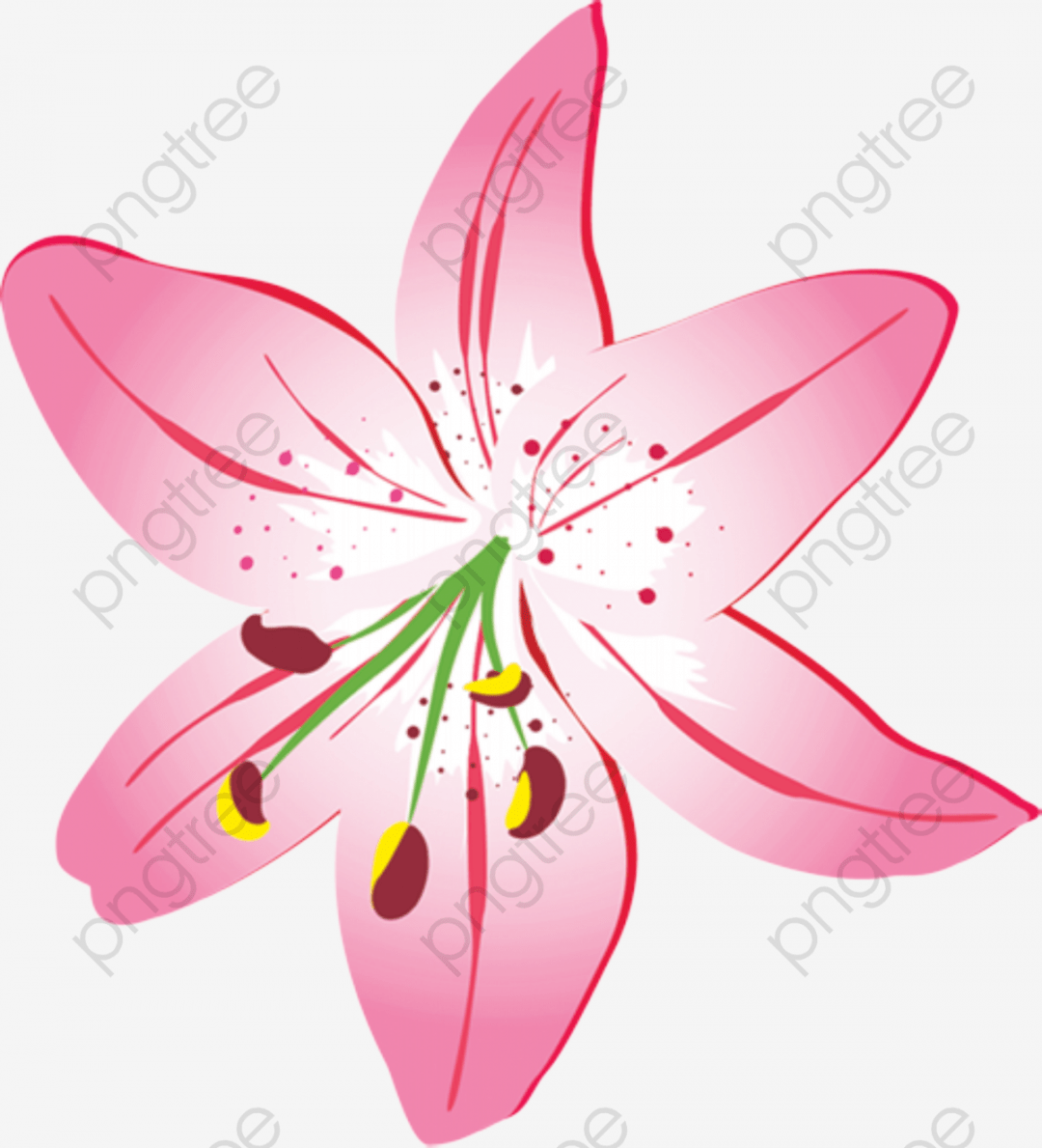 Pink Lily Flower Vector, Flower Vector, Pink Lily Flowers, Lily 1080x1189 Pink Lily Flower Vector, Flower Vector, Pink Lily Flowers, Lily