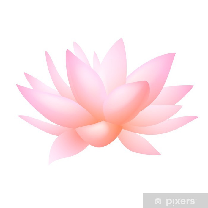Pink Lotus Or Water Lily Flower Vector Sticker 700x700 Pink Lotus Or Water Lily Flower Vector Sticker