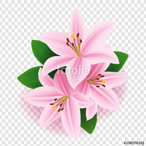Vector Floral Design Pink Lily Flower Vector Pink Lily Flower 500x500 Vector Floral Design Pink Lily Flower Vector Pink Lily Flower