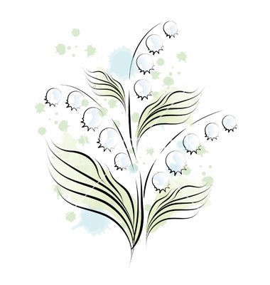 380x400 Lily Of The Valley Sketch Vector