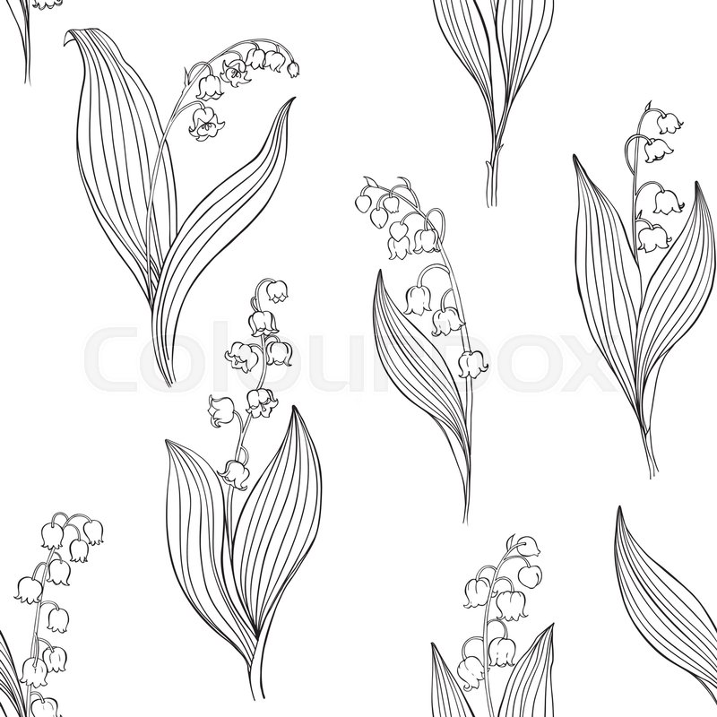 800x800 Lily Of The Valley Seamless Vector Stock Vector Colourbox