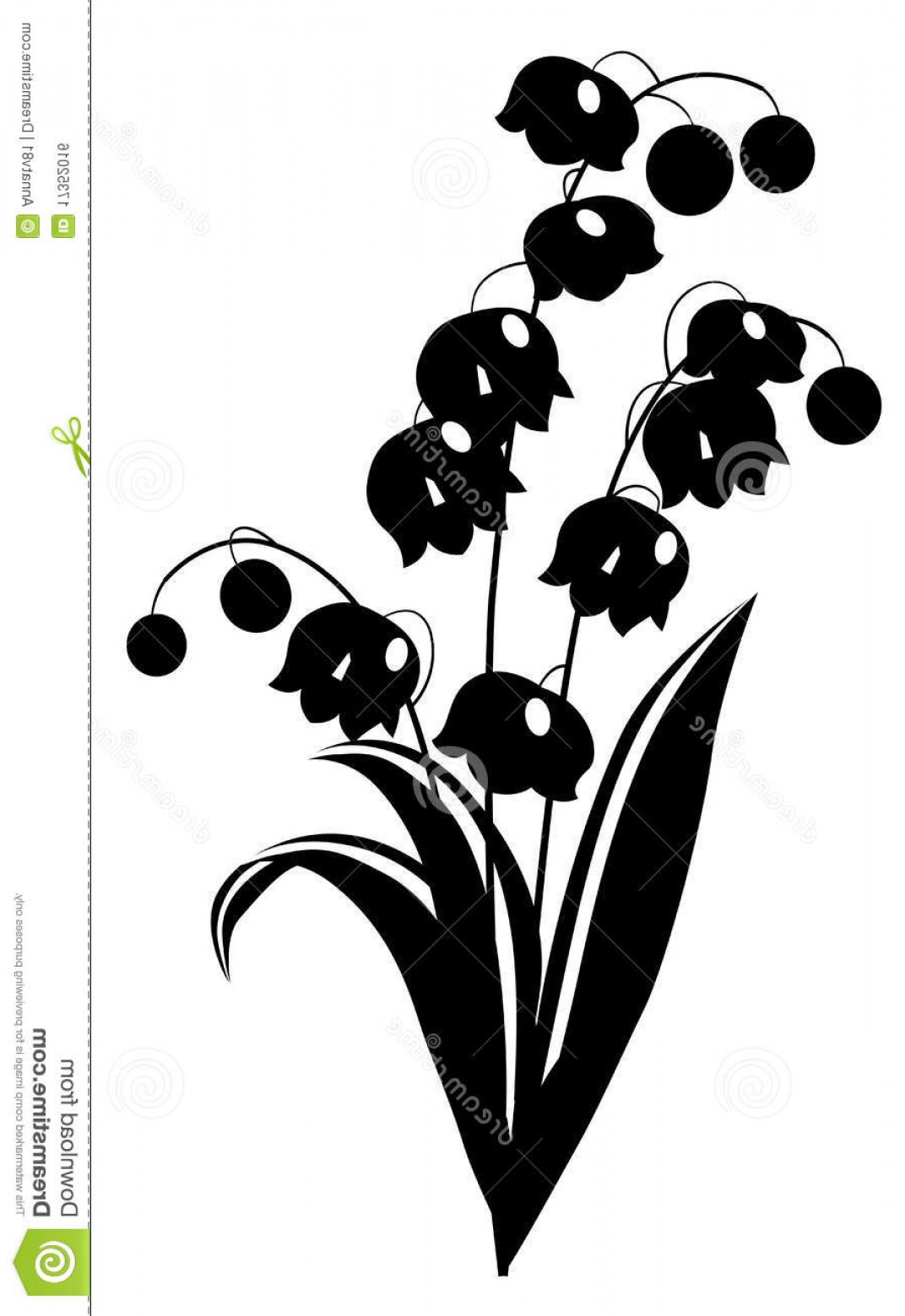 1072x1560 Royalty Free Stock Image Black White Lily Valley Image Soidergi