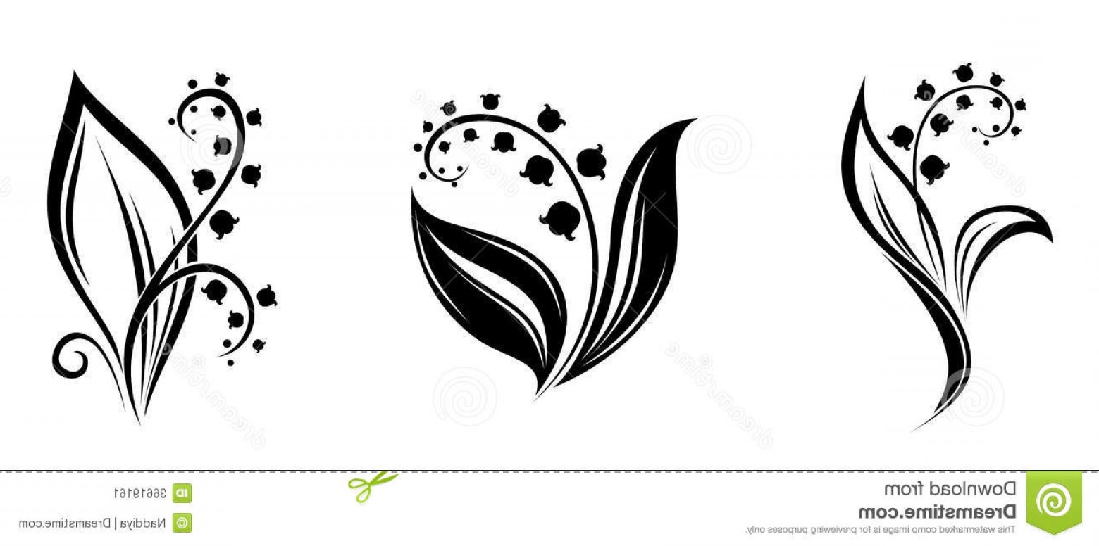 1560x776 Black And White Lily Vector Soidergi