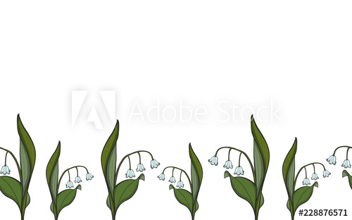 500x313 Seamless Border Lily Of The Valley, Vector