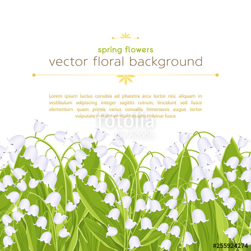 500x500 Seamless Border With Spring Flowers Lily Of The Valley, Floral
