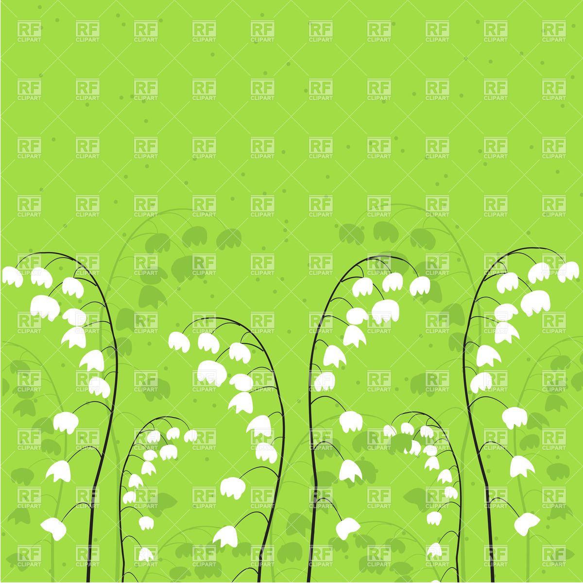 1200x1200 White May Lily Flowers