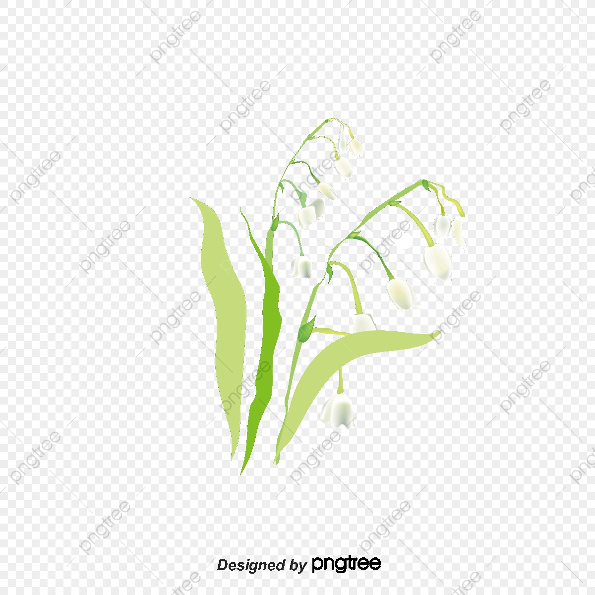 1200x1200 Hand Painted Lily Of The Valley, Vector, Cartoon, Hand Painted Png