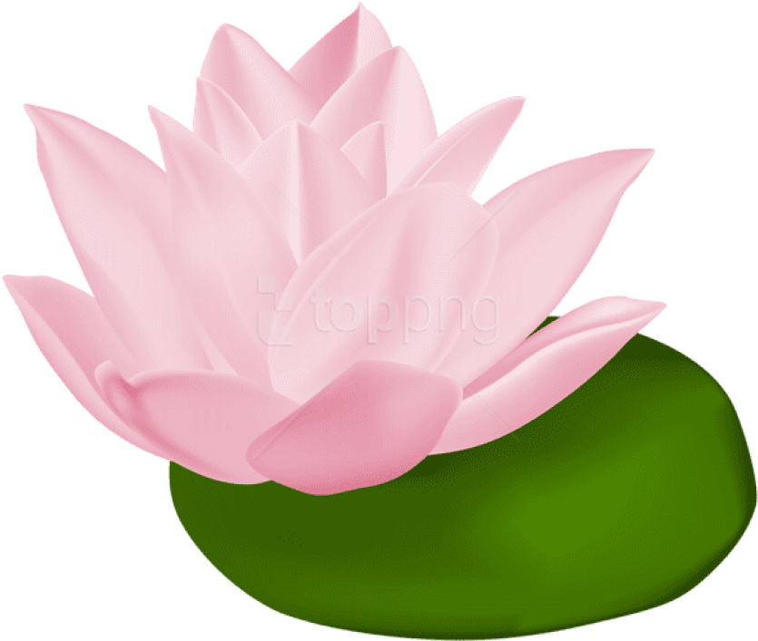835x707 Hd Vector Stock Lily Pad Flower Clipart