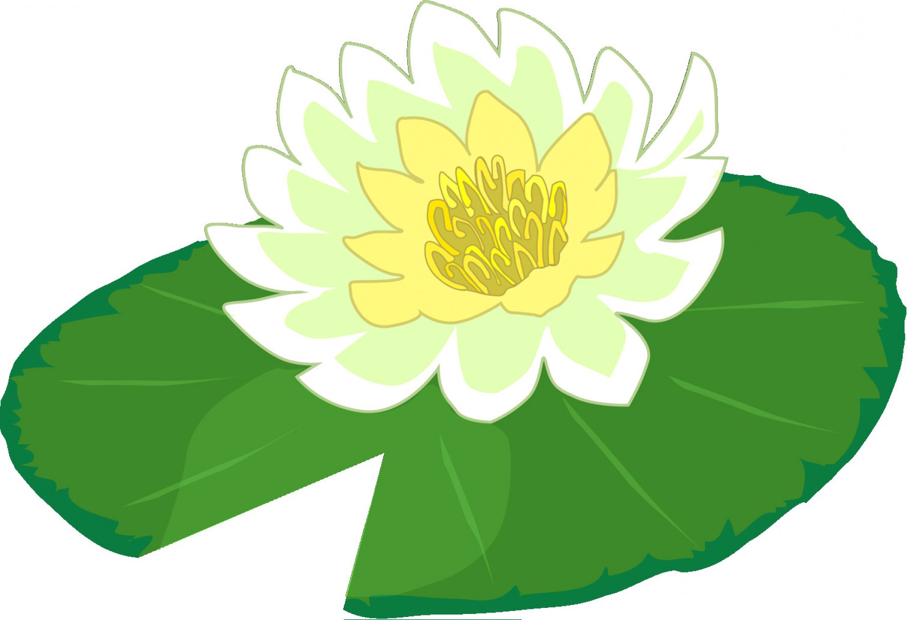 Lily Pad Vector at Collection of Lily Pad Vector free