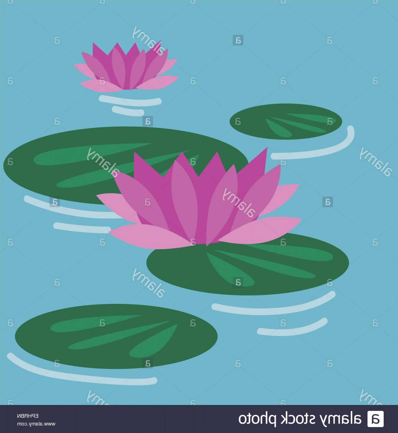 Lily Pad Vector at Vectorified.com | Collection of Lily Pad Vector free