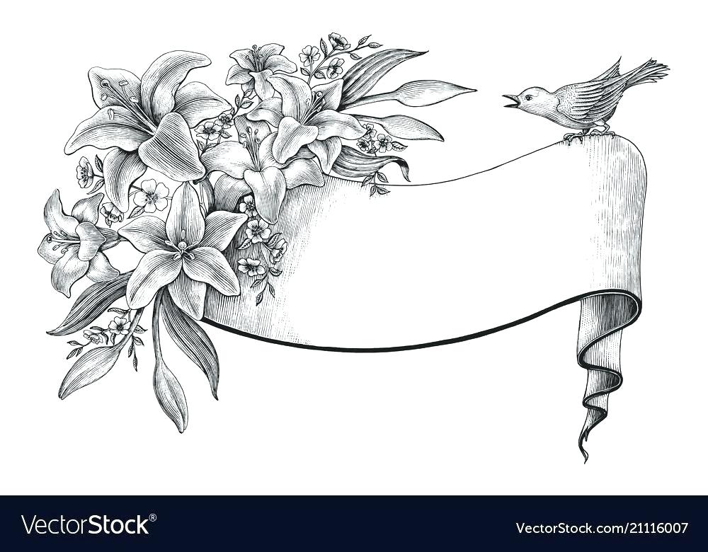 1000x780 How To Draw A Lily Pad