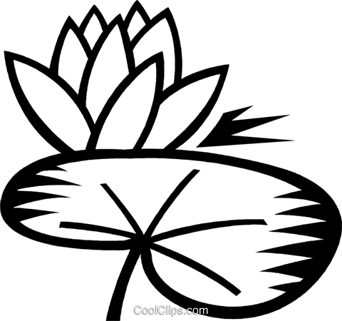 480x450 Lily Pad Royalty Free Vector Clip Art Illustration