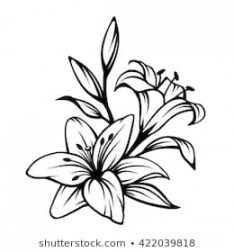234x252 Lily Flower Silhouette Stock Vectors, Images Vector Art