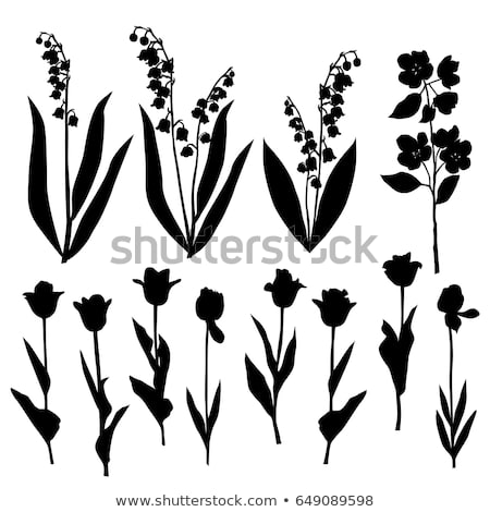450x470 Lily Flower Silhouette Vector
