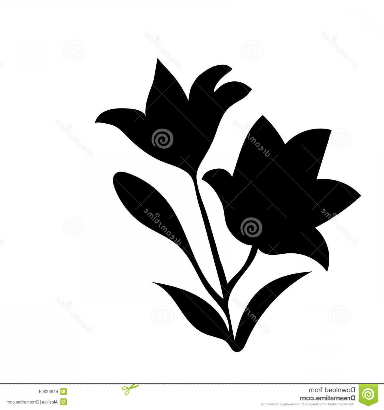 1560x1668 Lily Vector Outline Lamaison