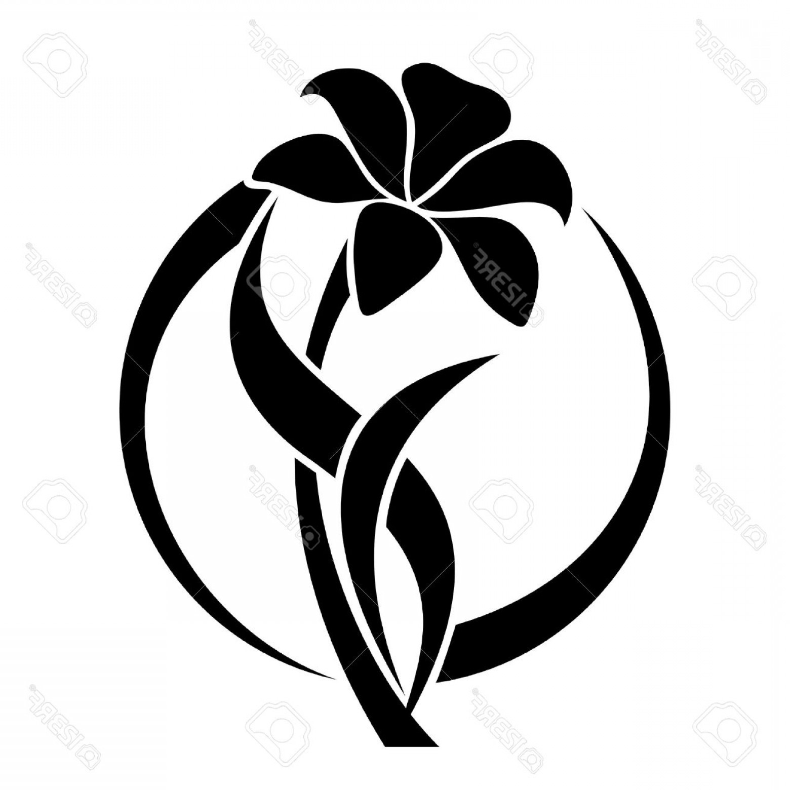1560x1560 Photoblack Silhouette Of Lily Flower Vector Illustration Soidergi