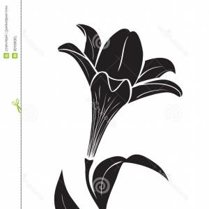 300x300 Photostock Vector Silhouette Lily Black Outline On White