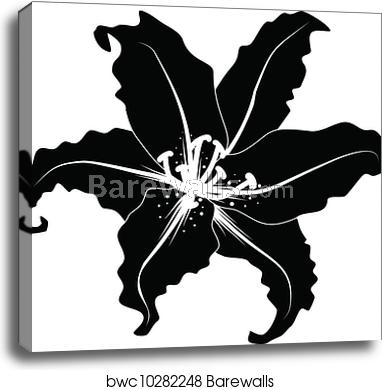 382x390 Silhouette Of Lily, Canvas Print Barewalls Posters Prints
