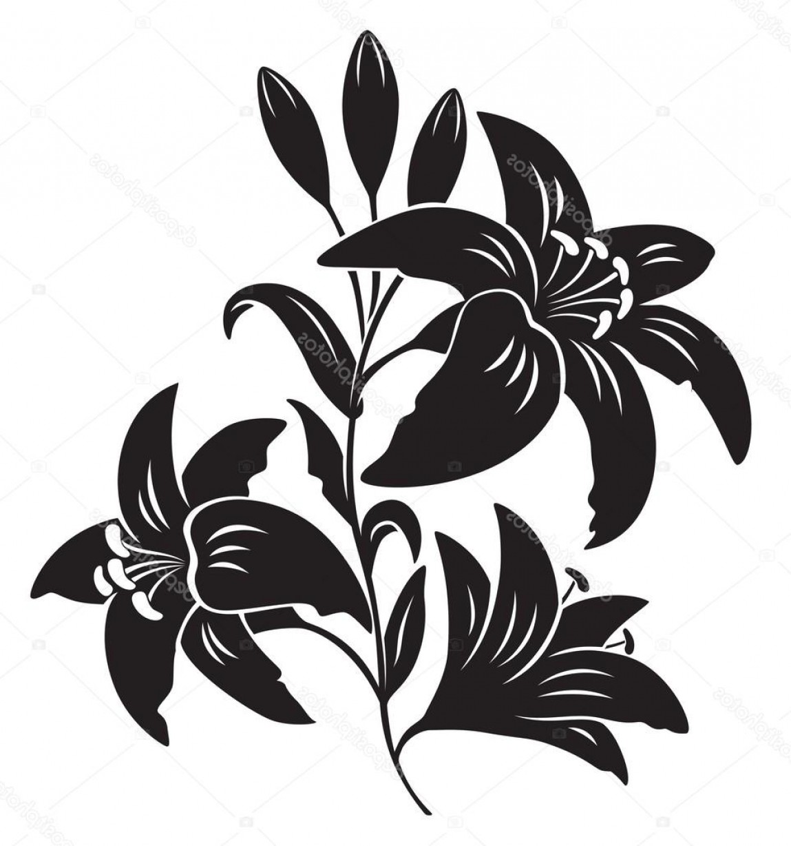 Download Lily Silhouette Vector at Vectorified.com | Collection of ...