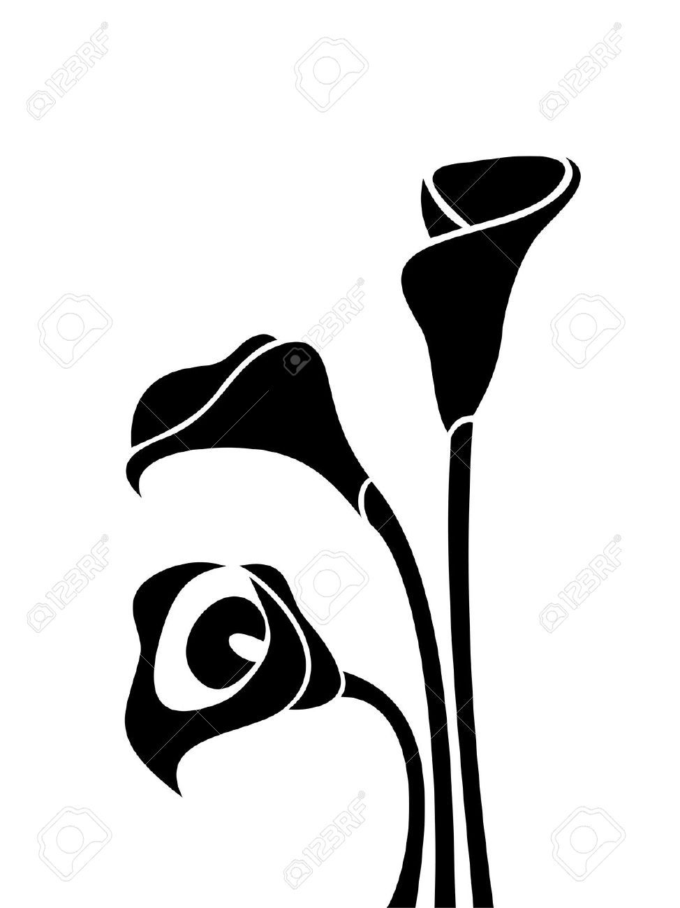 974x1300 Stock Vector Display Lilies Drawing, Calla Lily, Vector Flowers