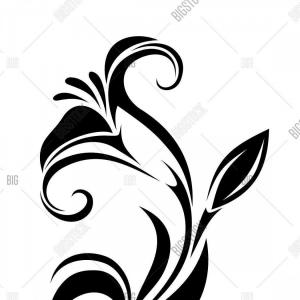 300x300 Catchsplace Vector Graphics Illustrator