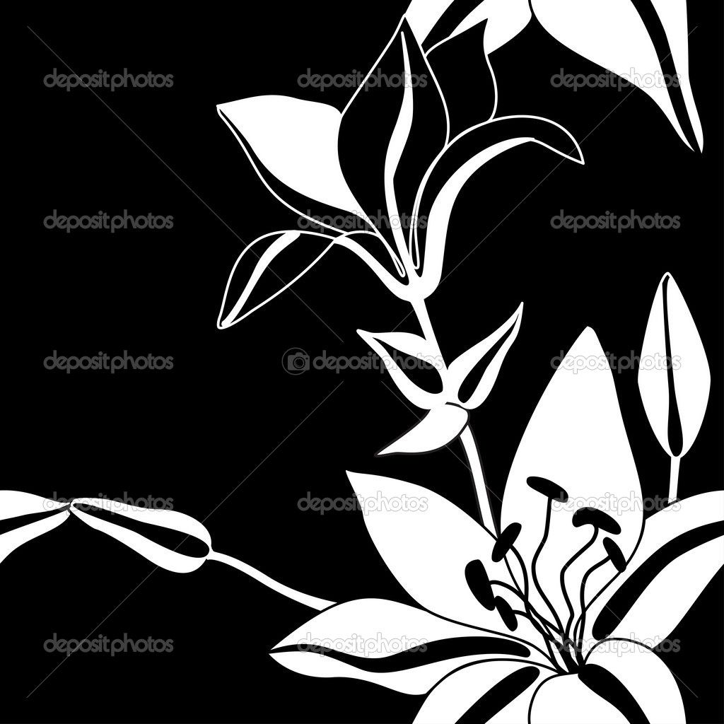 1024x1024 Decorative Lily Flowers Silhouettes On Blake Background Stock