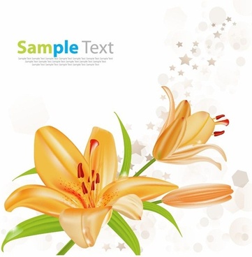 361x368 Lily Free Vector Download