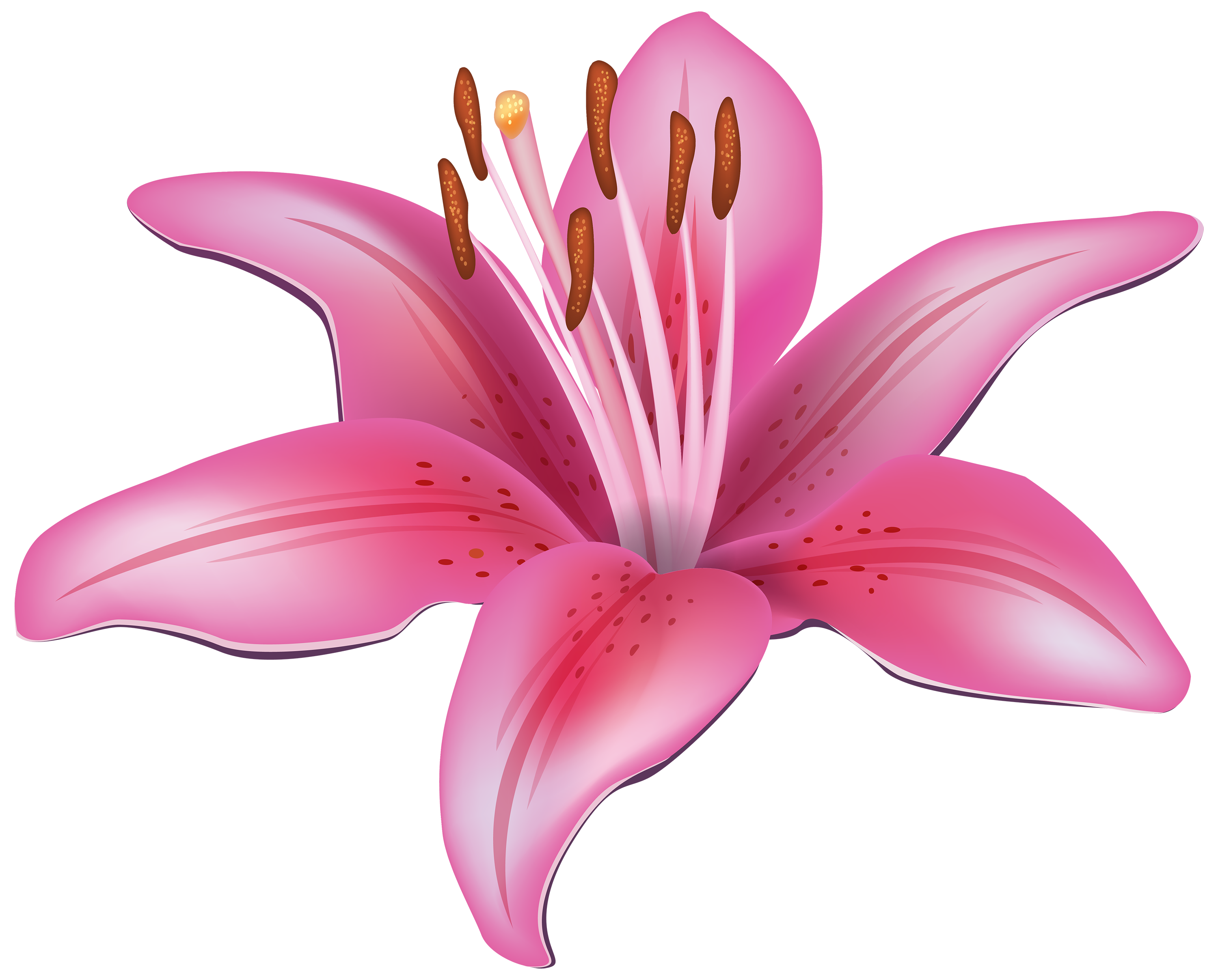 3000x2415 Lily Vector Clipart Images Gallery For Free Download Myreal Clip