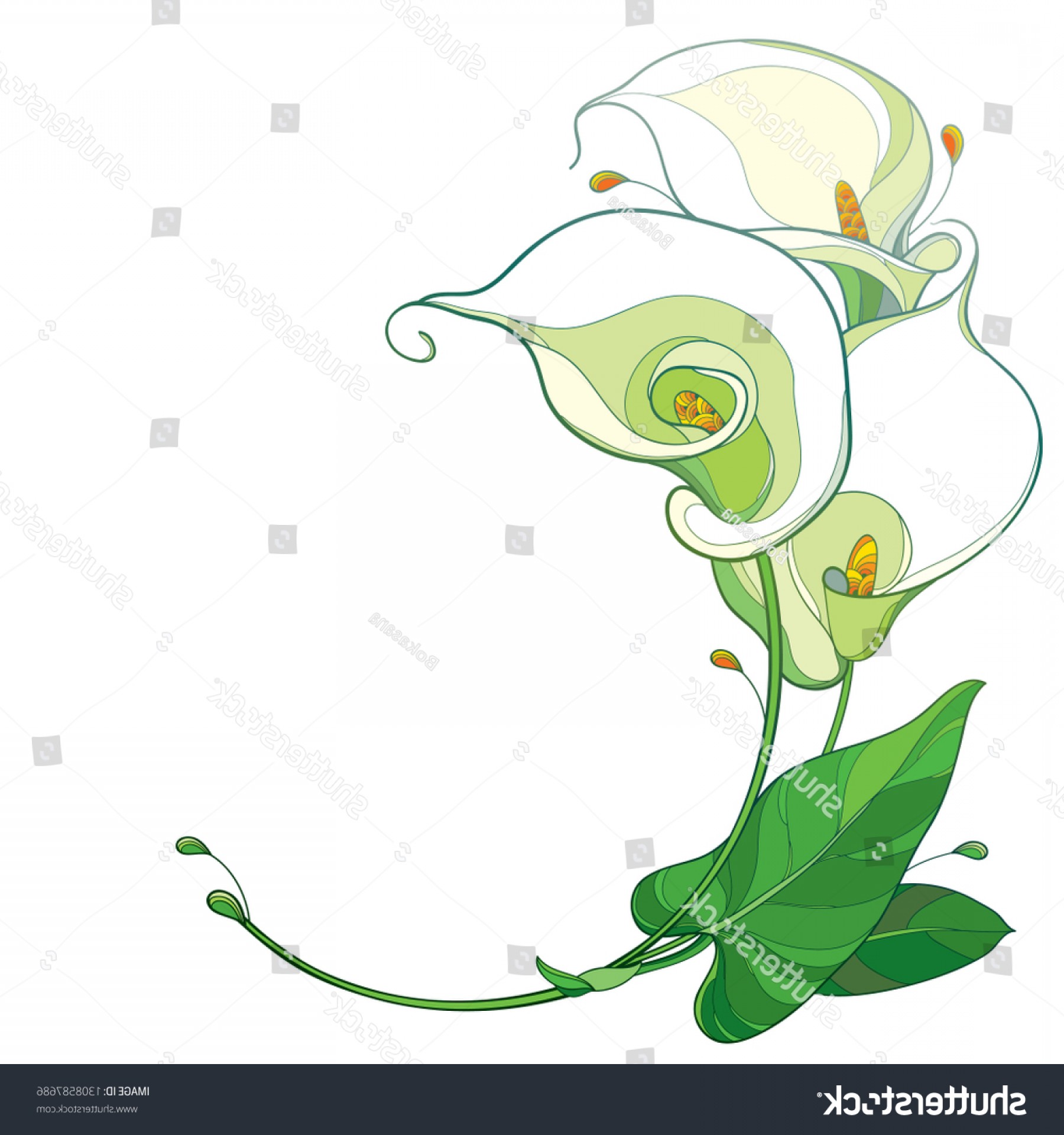 1800x1920 Vector Round Bouquet Outline Calla Lily Geekchicpro