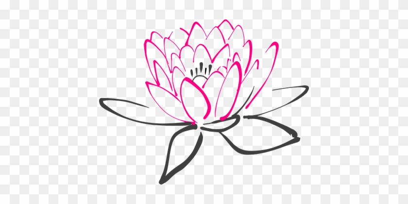 840x420 Water Lily Flower Pink Lotus Lily Blossom