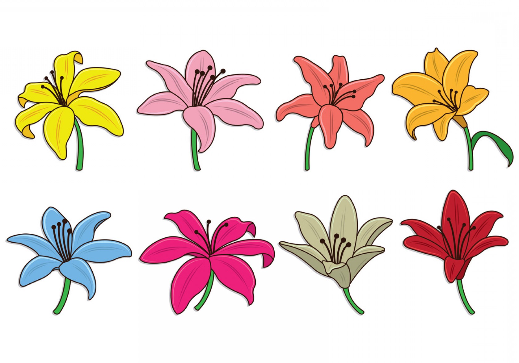 1680x1176 Easter Lily Vector Catchsplace