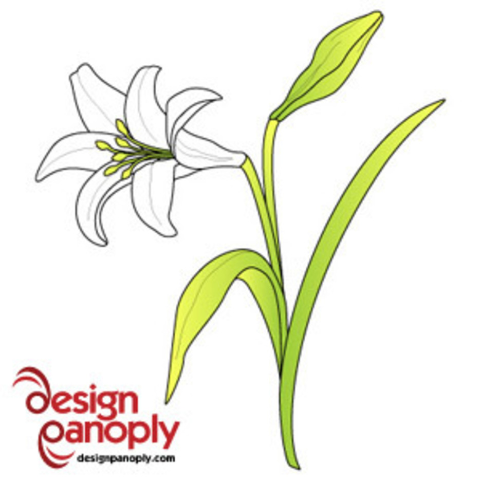 936x936 Free Easter Lily Vector Flower Freevectors