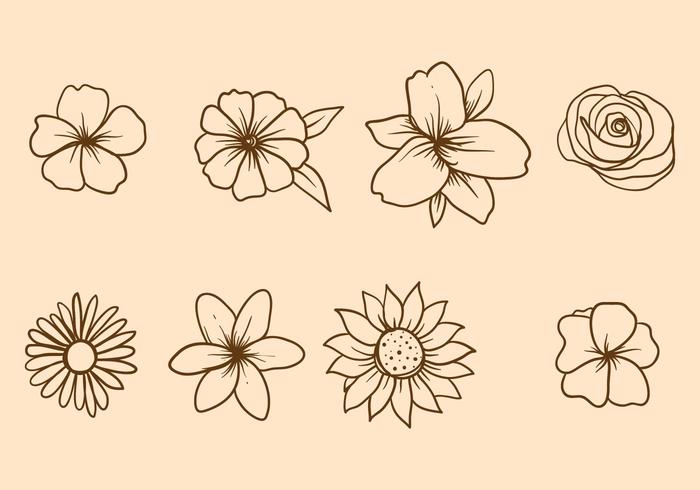700x490 Lily Free Vector Art