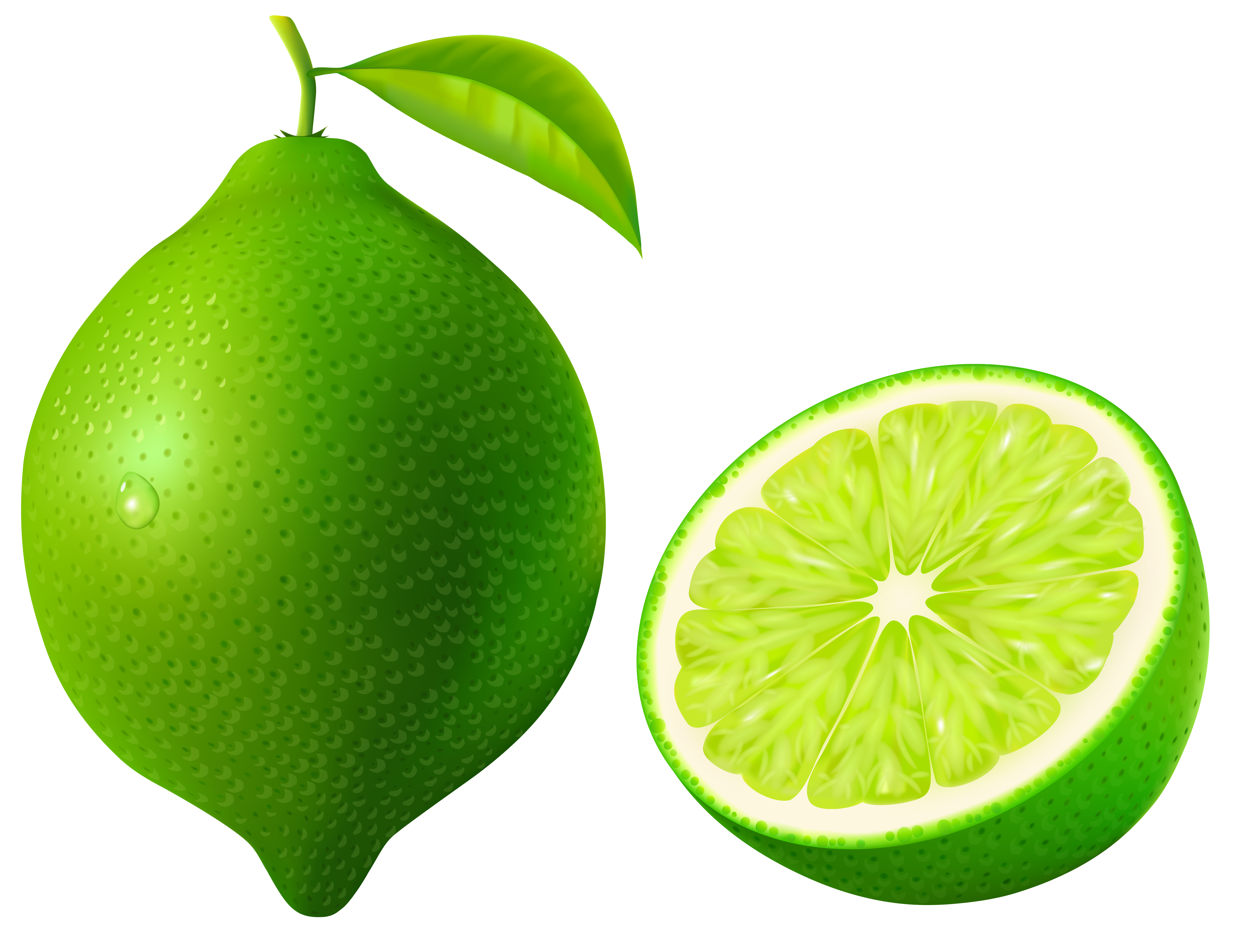 5218x4015 Green Lime Png Vector Clipart